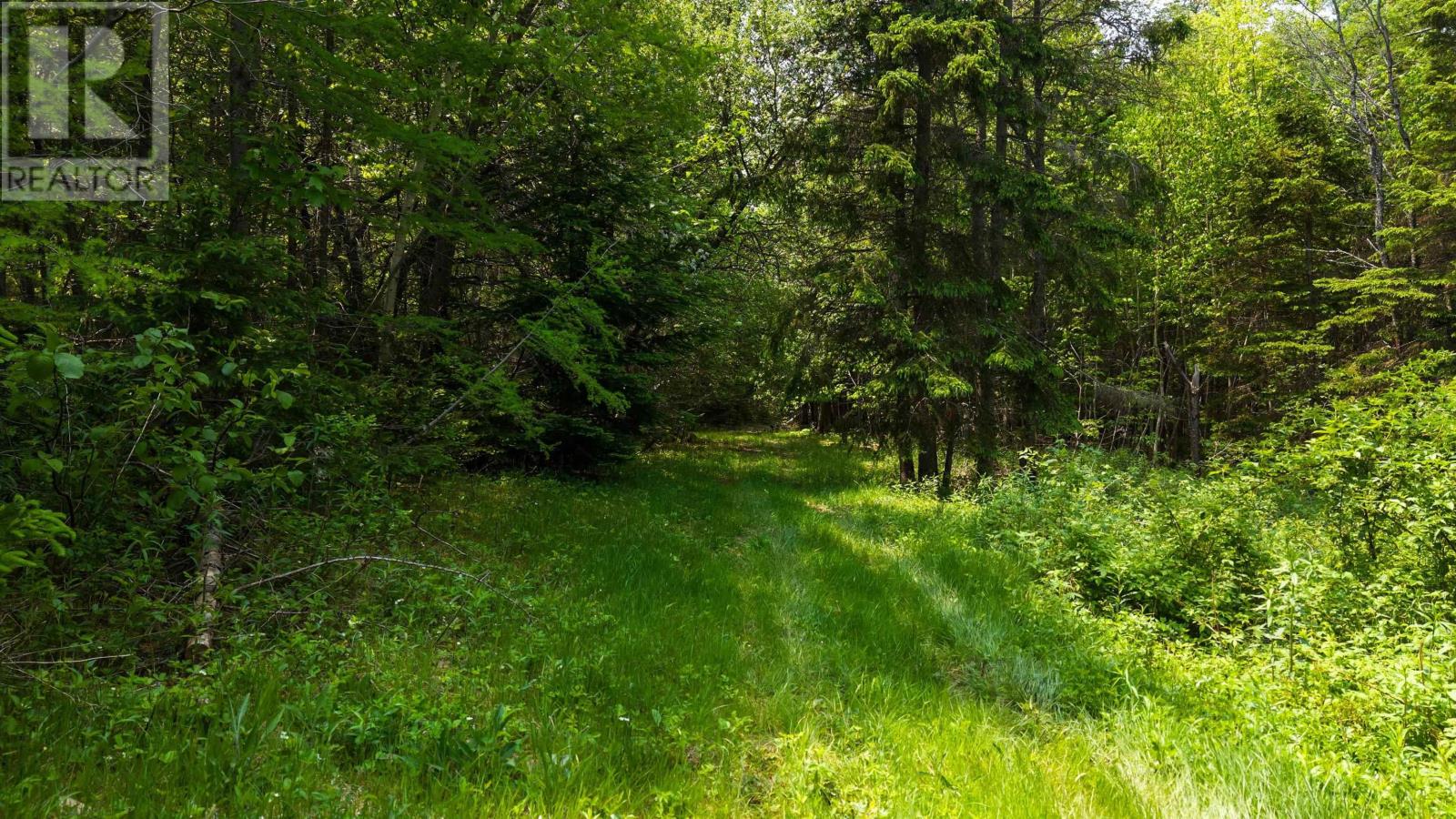 29 Allans Lane, Valley Mills, Nova Scotia  B0E 2Y0 - Photo 46 - 202501114