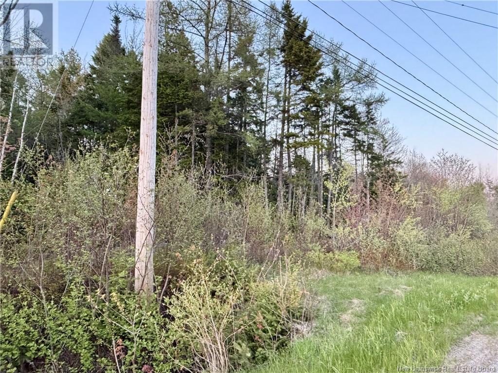 1 Acre Rte 455, Fairisle, New Brunswick  E9G 2Y8 - Photo 2 - NB111382