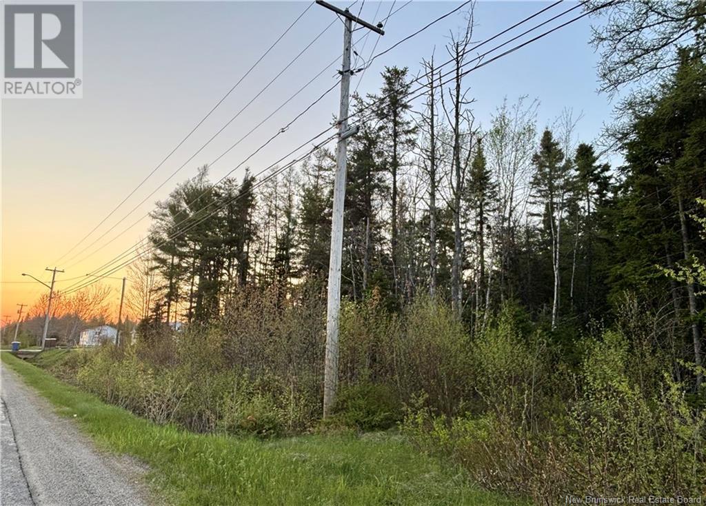 1 Acre Rte 455, Fairisle, New Brunswick  E9G 2Y8 - Photo 3 - NB111382