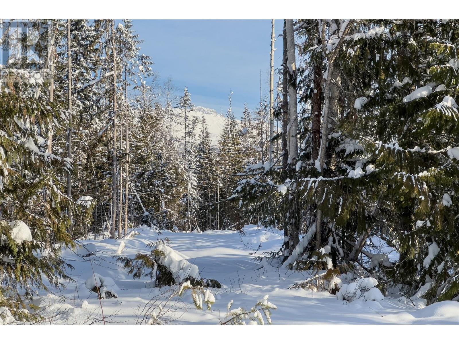 Lot 2 Golden Donald Upper Road, golden, British Columbia