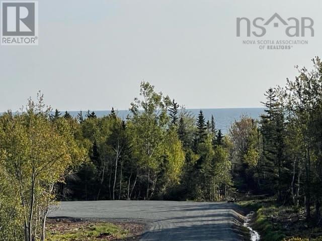 Lot 23 Pugwash Point Road, Pugwash, Nova Scotia  B0K 1L0 - Photo 13 - 202401480