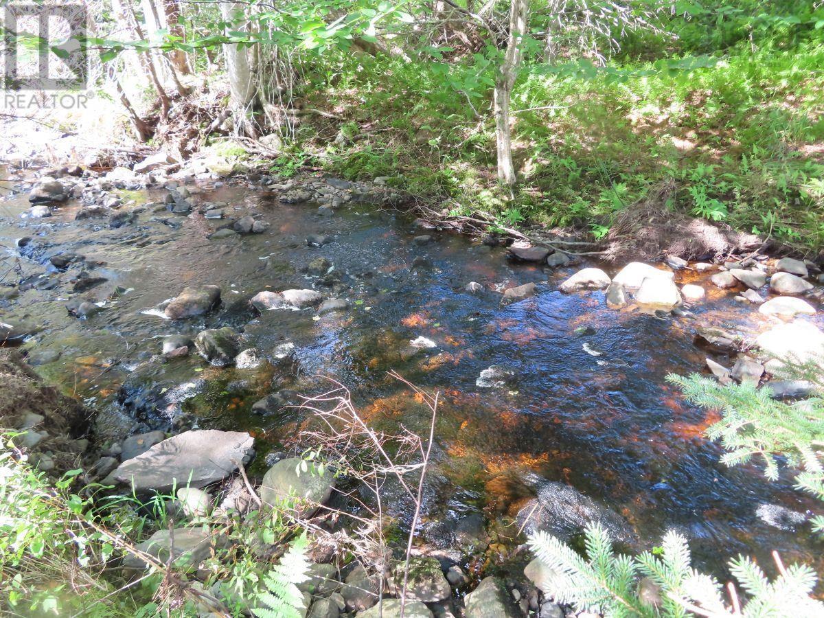 116.5 Acres 348 Highway, West River Road, Smithfield, Nova Scotia  B0H 1E0 - Photo 25 - 202403305