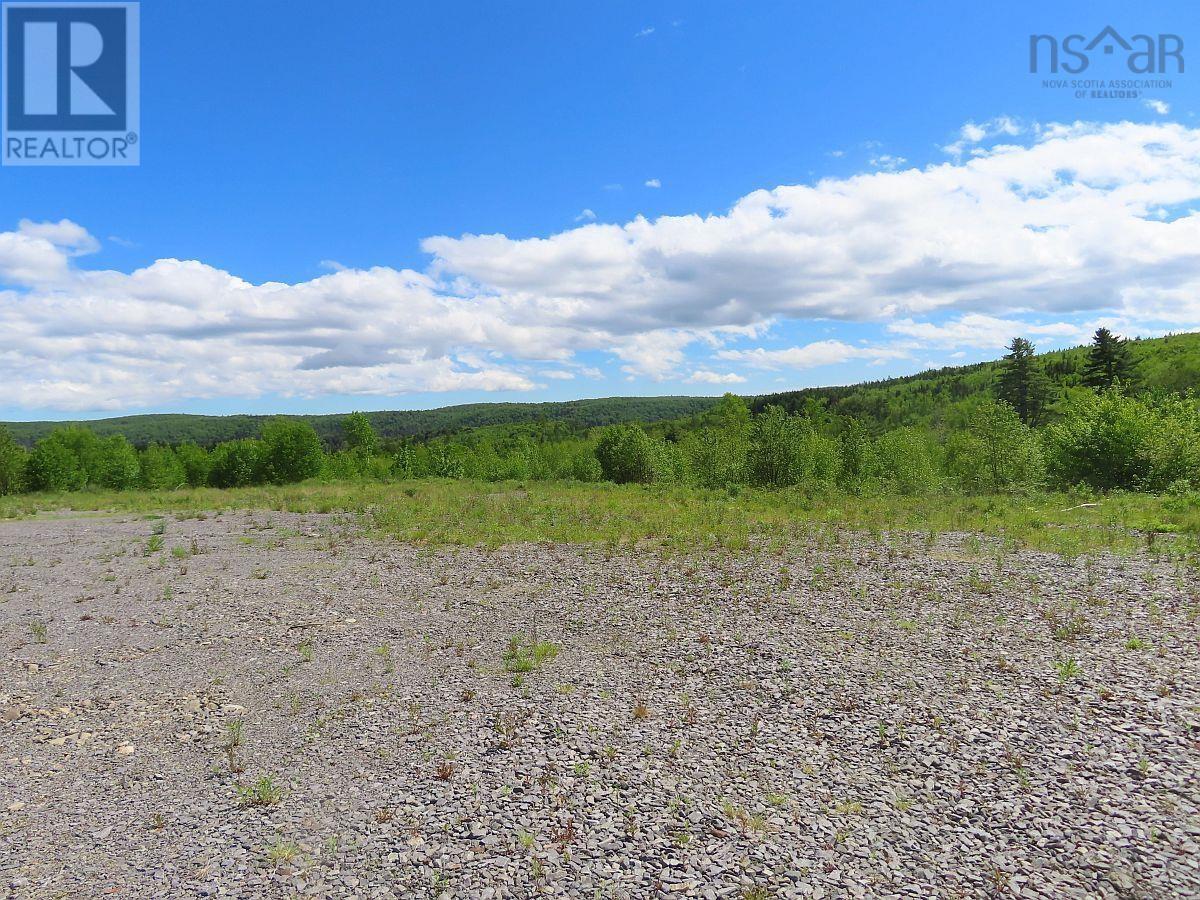 Property at 116.5 ACRES 348 Highway image 3