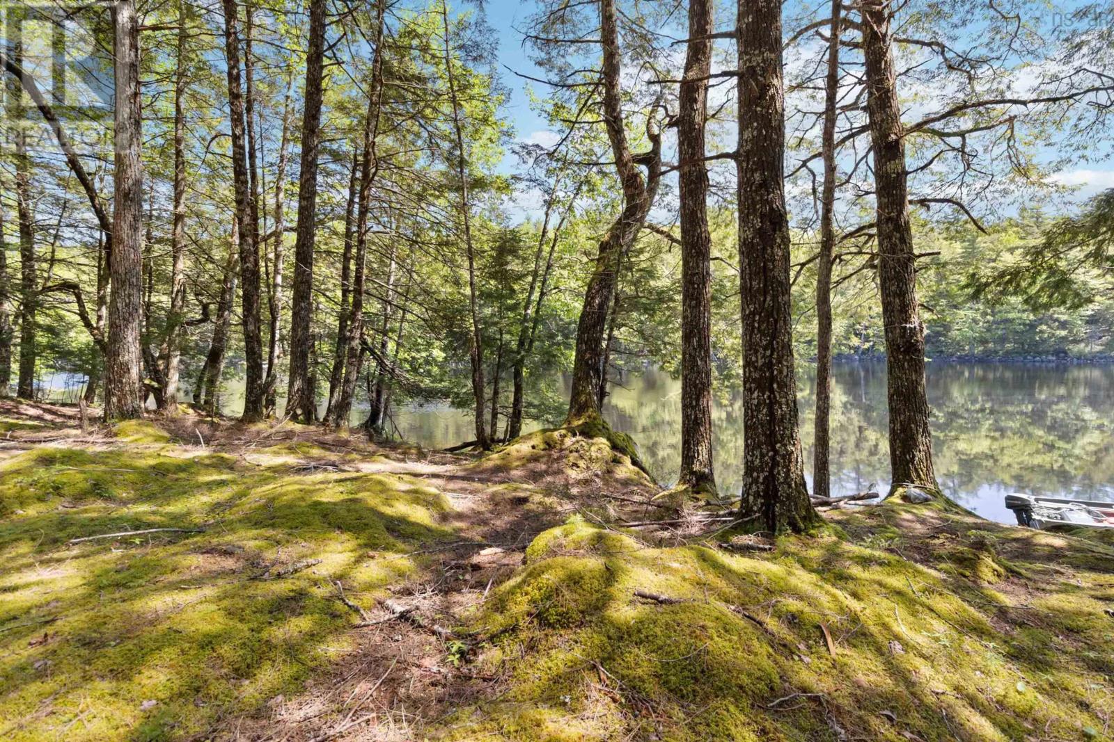 87 Edith's Point Road, South Brookfield, Nova Scotia  B0T 1K0 - Photo 34 - 202500734