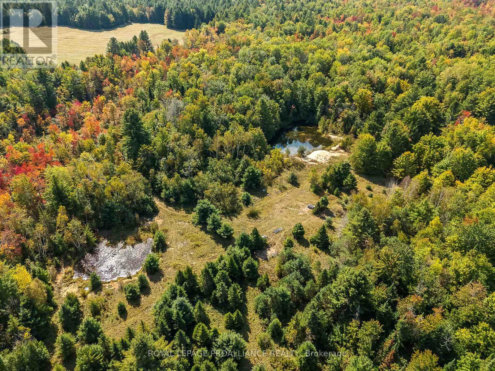 0 Highway 41, Addington Highlands, Ontario  K0H 1Z0 - Photo 27 - X9353962