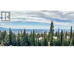 200 Feathertop Way Unit# Lot 1, big white, British Columbia