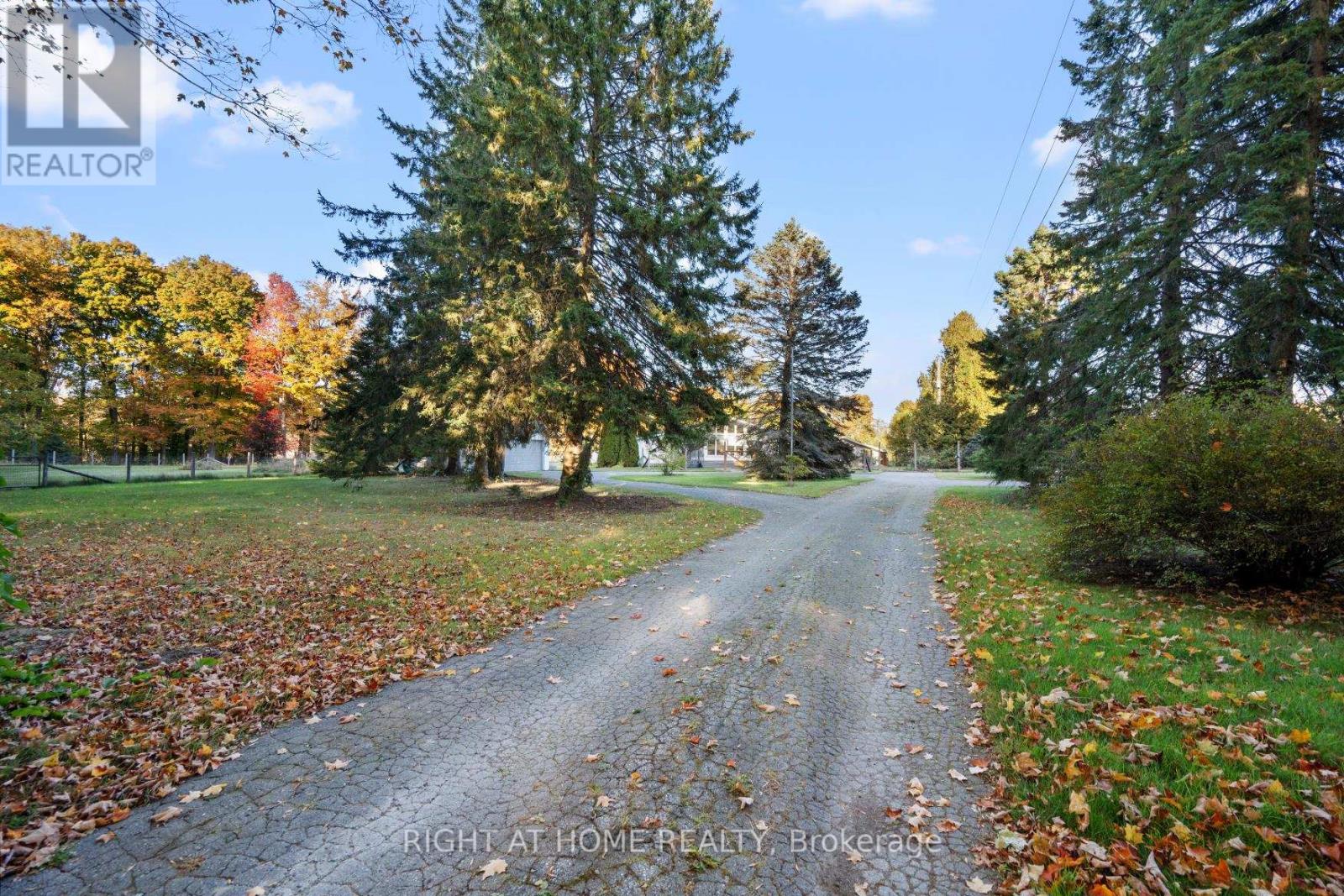Property at 203 BARNES ROAD image 3