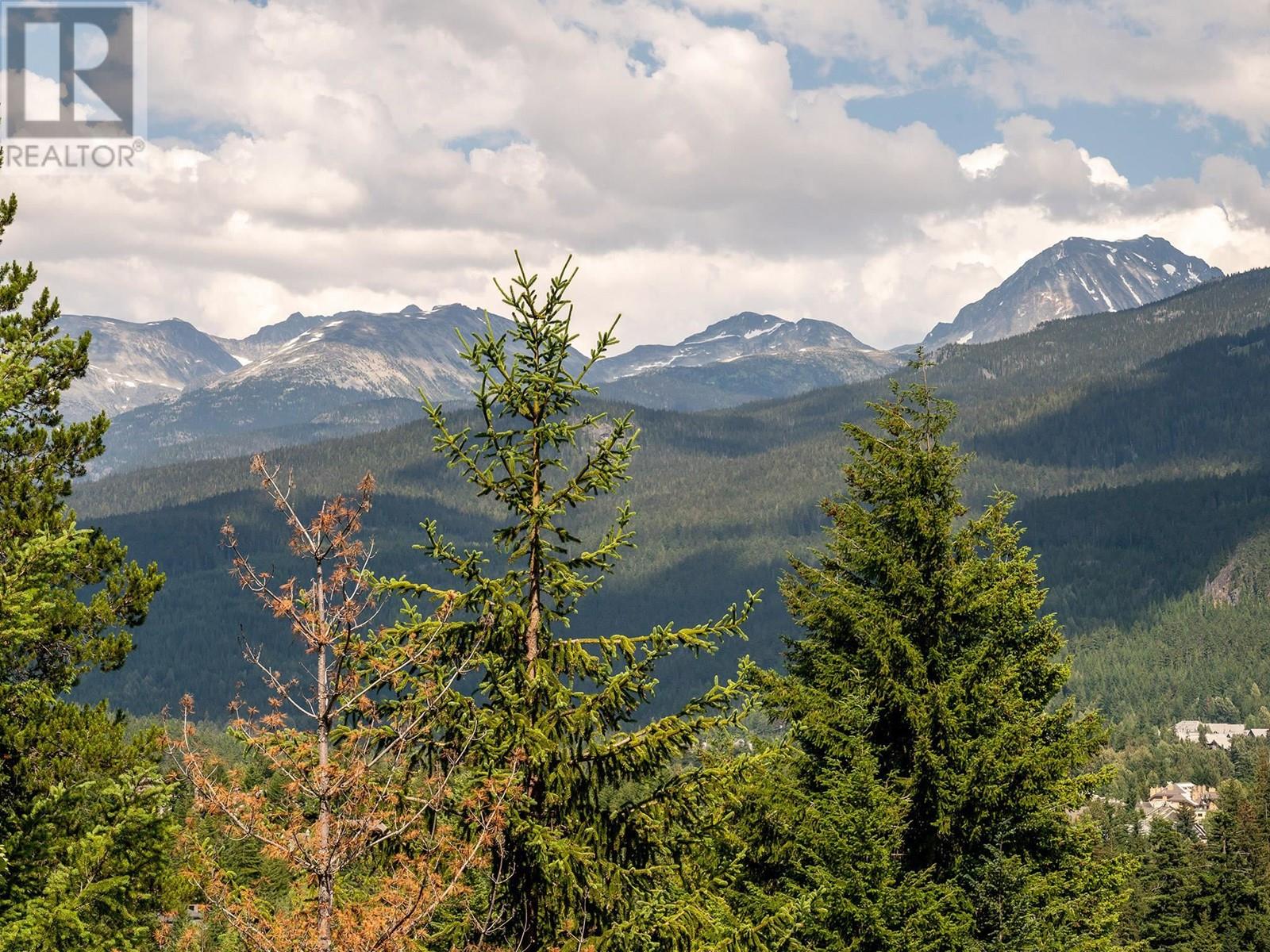 3220 Peak Drive, Whistler, British Columbia  V8E 0V4 - Photo 17 - R2889102
