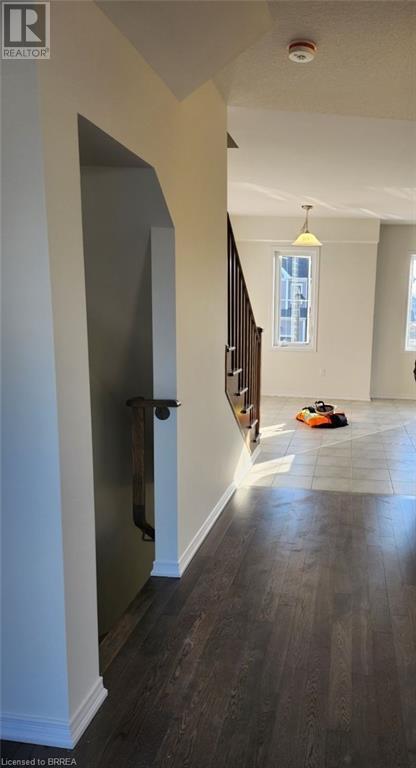 Property at 10 BASKETT Street image 2