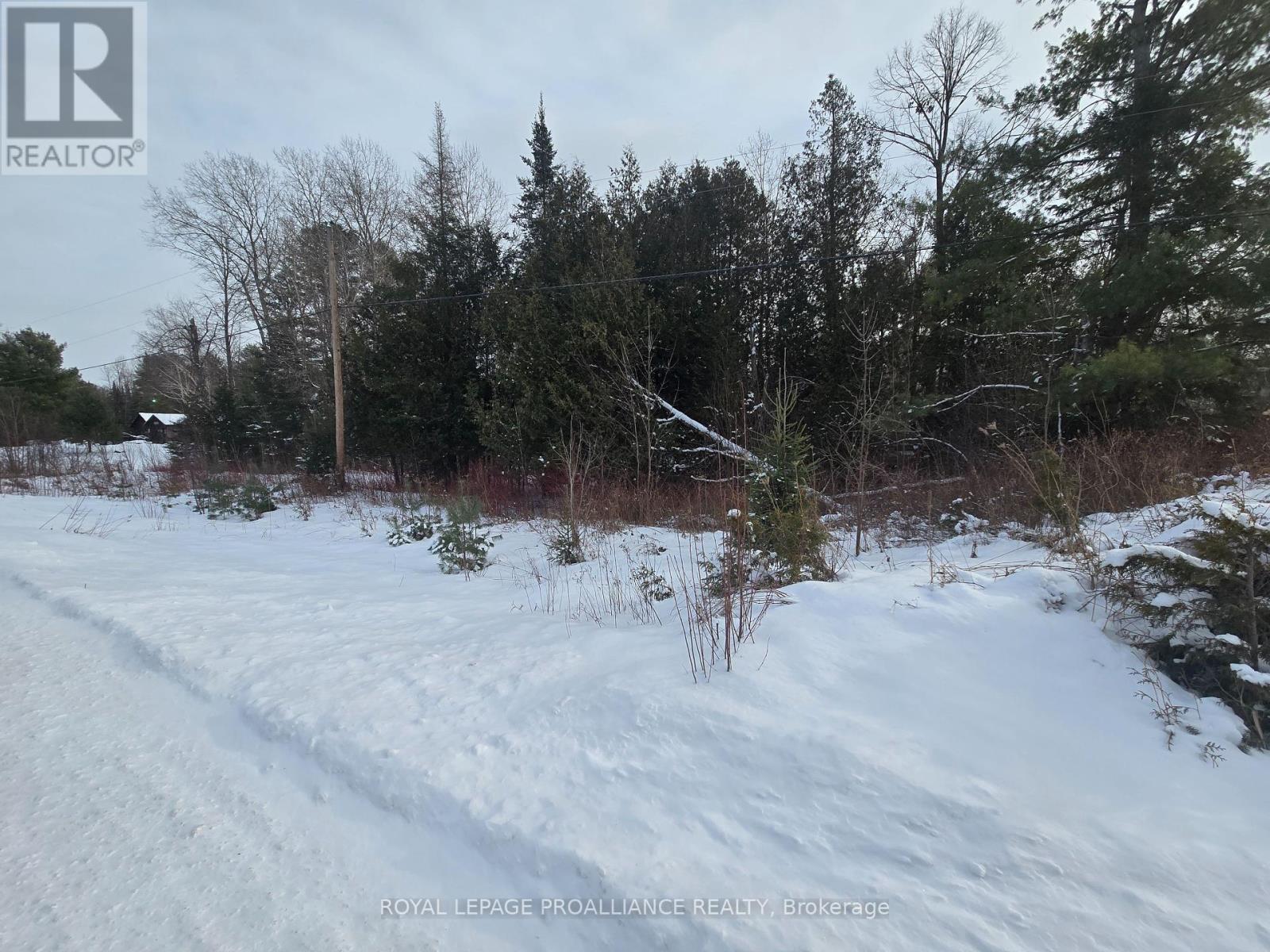 70 Bannockburn Road, Madoc, Ontario  K0K 1Y0 - Photo 6 - X11926652