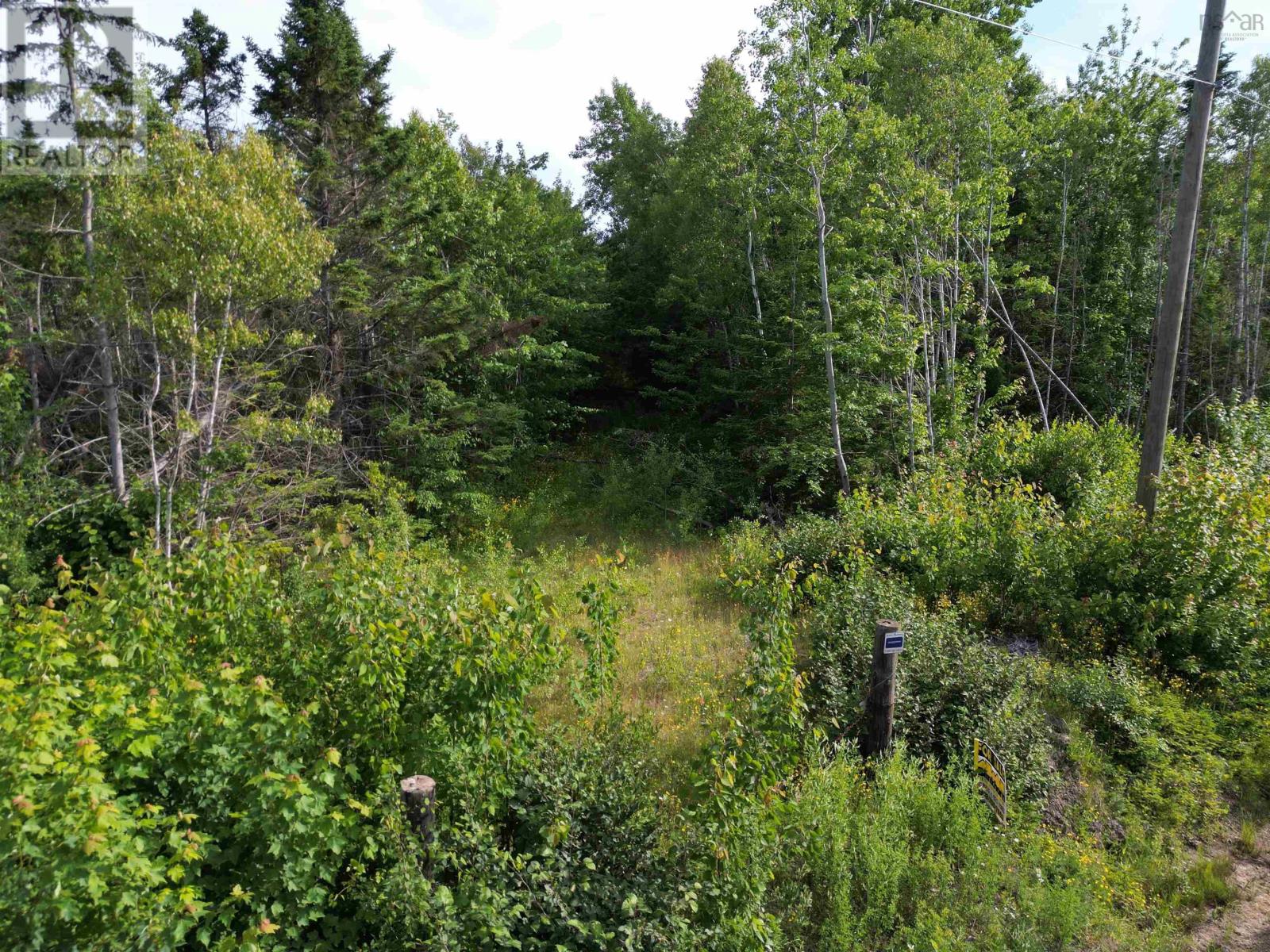 Lot Heathbell Road, Scotch Hill, Nova Scotia  B0K 1R0 - Photo 6 - 202501166