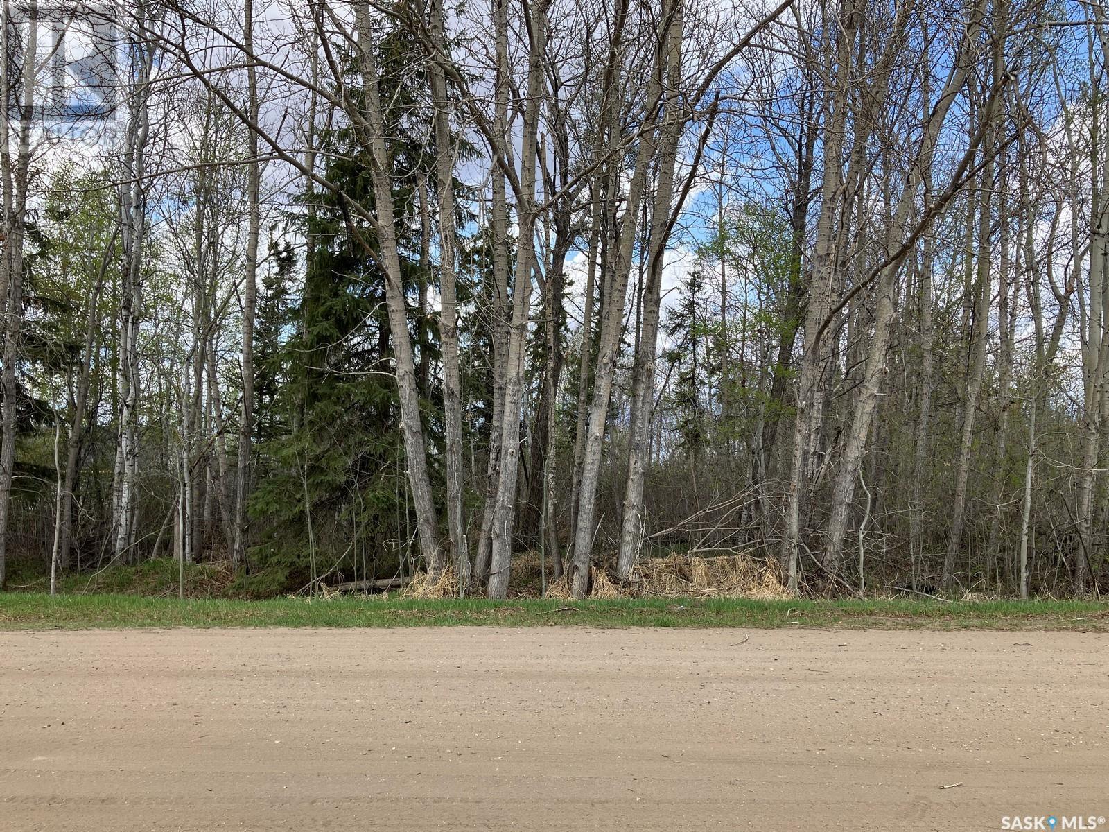 105 W Spruce AVENUE, nipawin, Saskatchewan