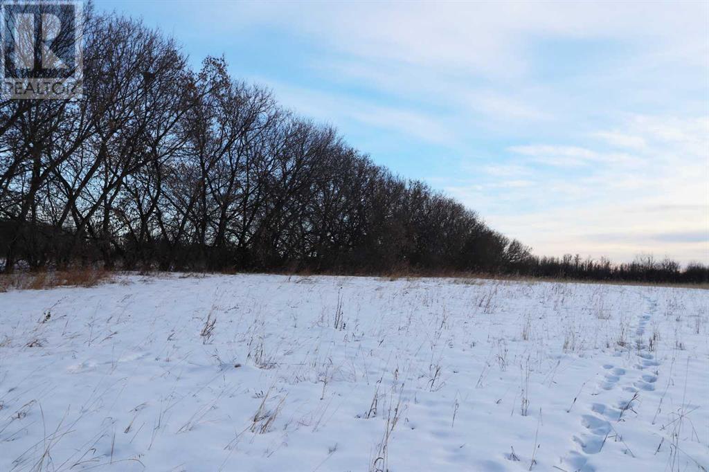 On Township Road 424, Rural Ponoka County, Alberta  T4J 1R3 - Photo 9 - A2188610