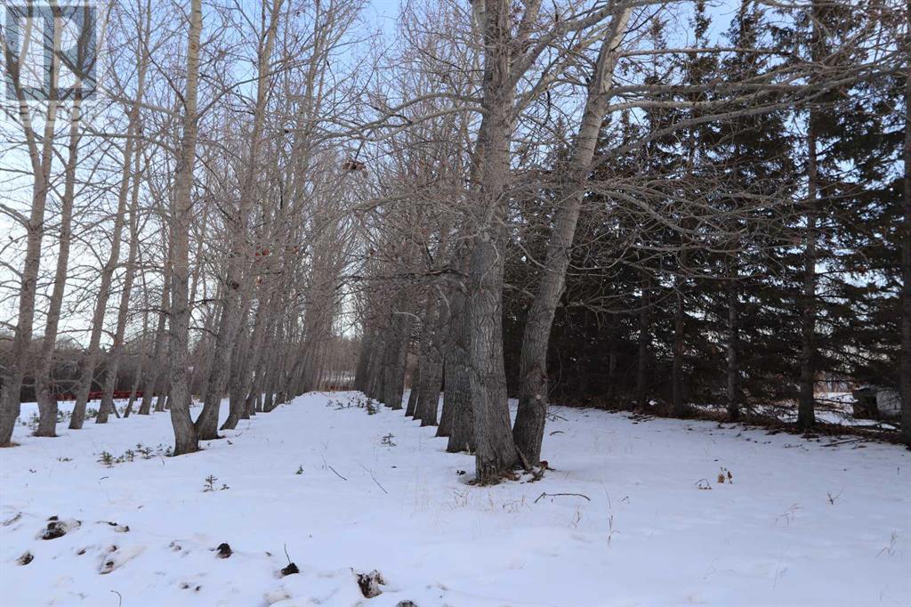 On Township Road 424, Rural Ponoka County, Alberta  T4J 1R3 - Photo 10 - A2188623