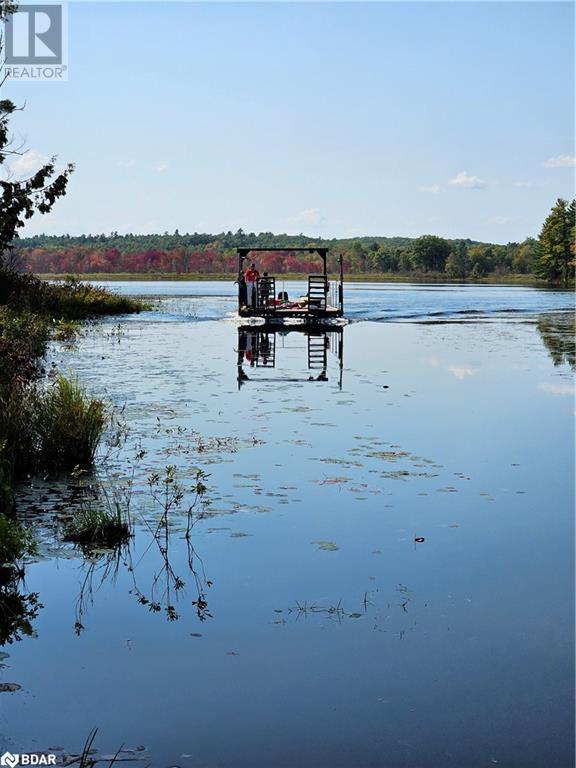 2035c Fifth Lake Road, Sharbot Lake, Ontario  K0H 2K0 - Photo 39 - 40691037