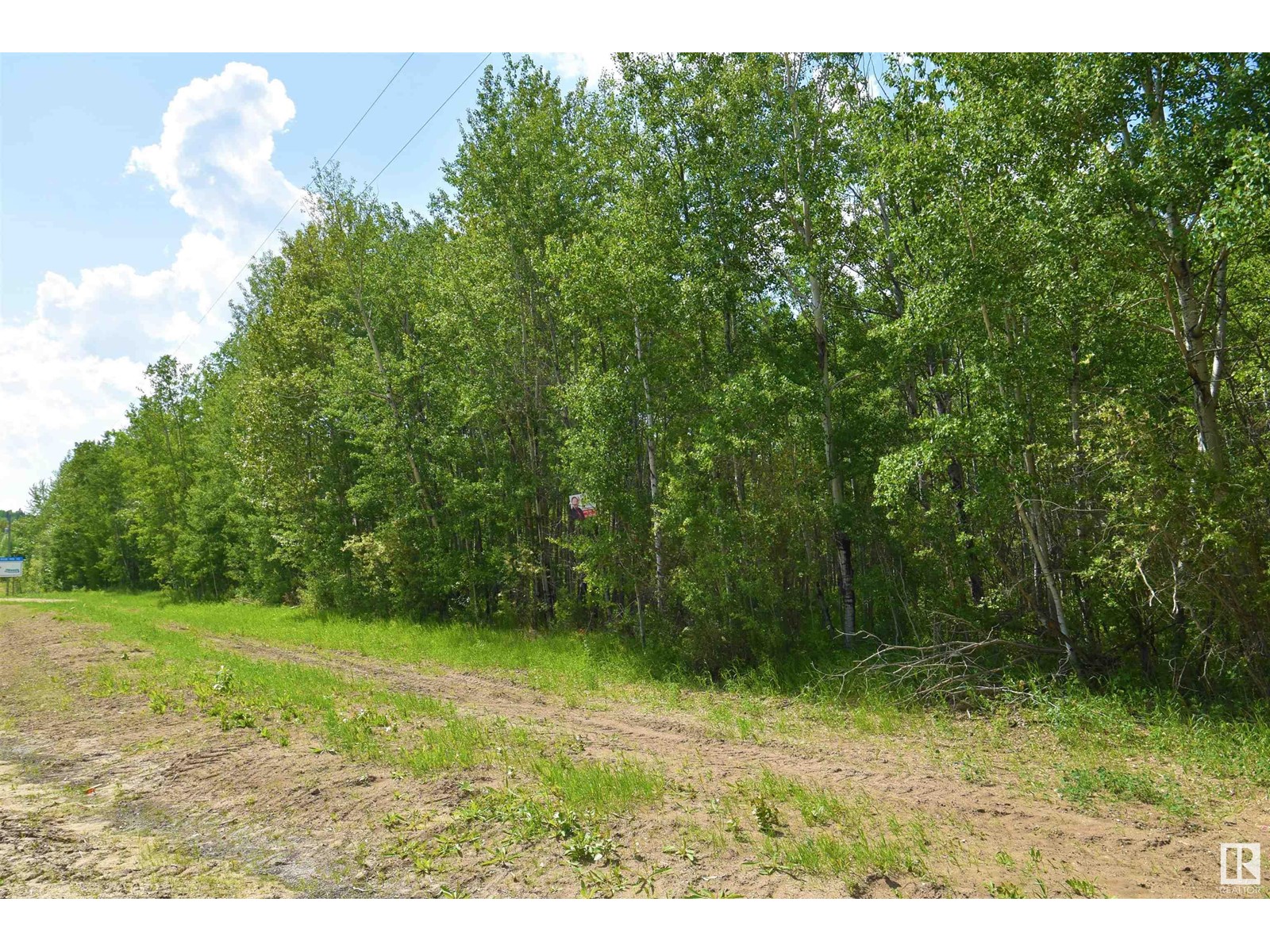 55230 Rg Rd 10, Rural Sturgeon County, Alberta  T8R 0K4 - Photo 14 - E4418516