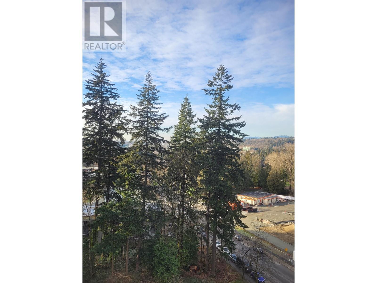 1101 9595 Erickson Drive, Burnaby, British Columbia V3J 7N9 - Photo 32 - R2957028