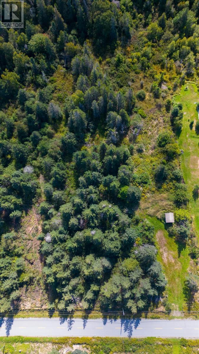 Lot Shore Road East Road E, Port George, Nova Scotia  B0S 1P0 - Photo 15 - 202501183