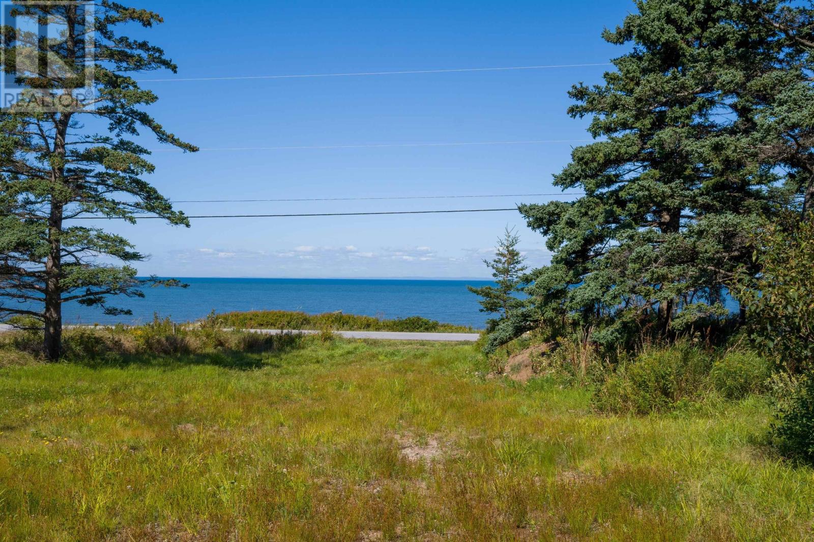 Lot Shore Road East Road E, Port George, Nova Scotia  B0S 1P0 - Photo 9 - 202501183