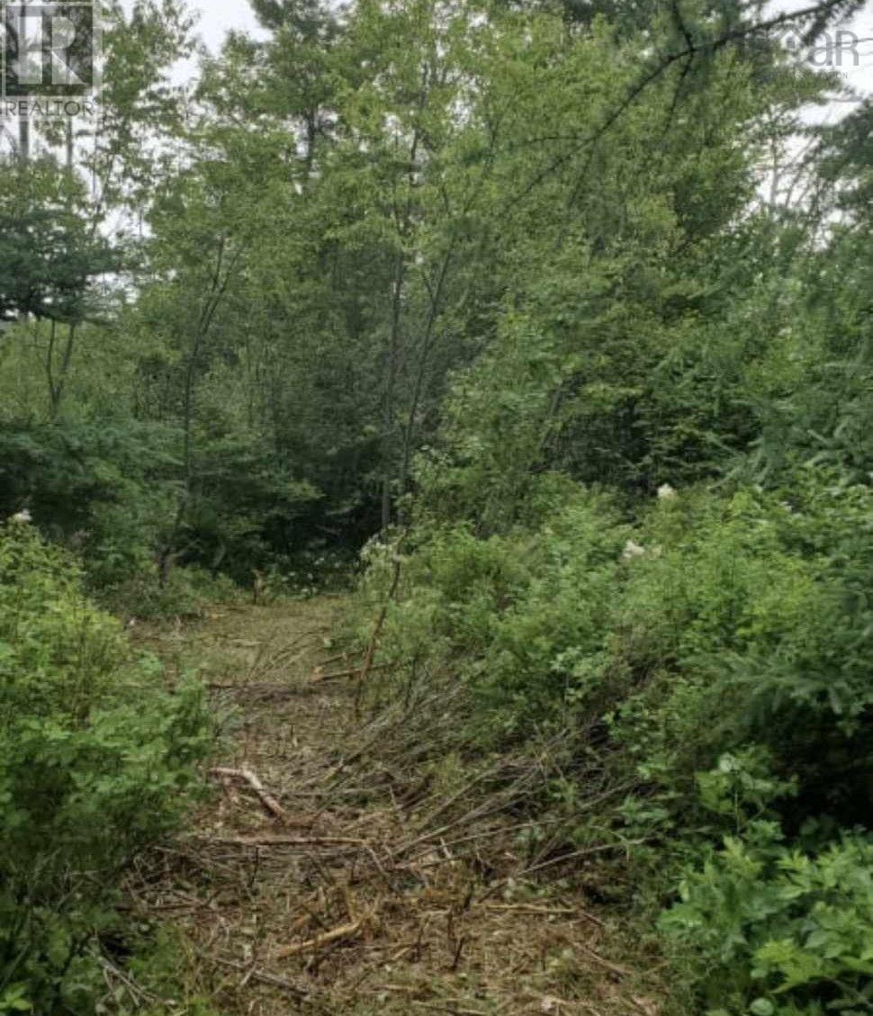 O Port Morien Drive, round island, Nova Scotia