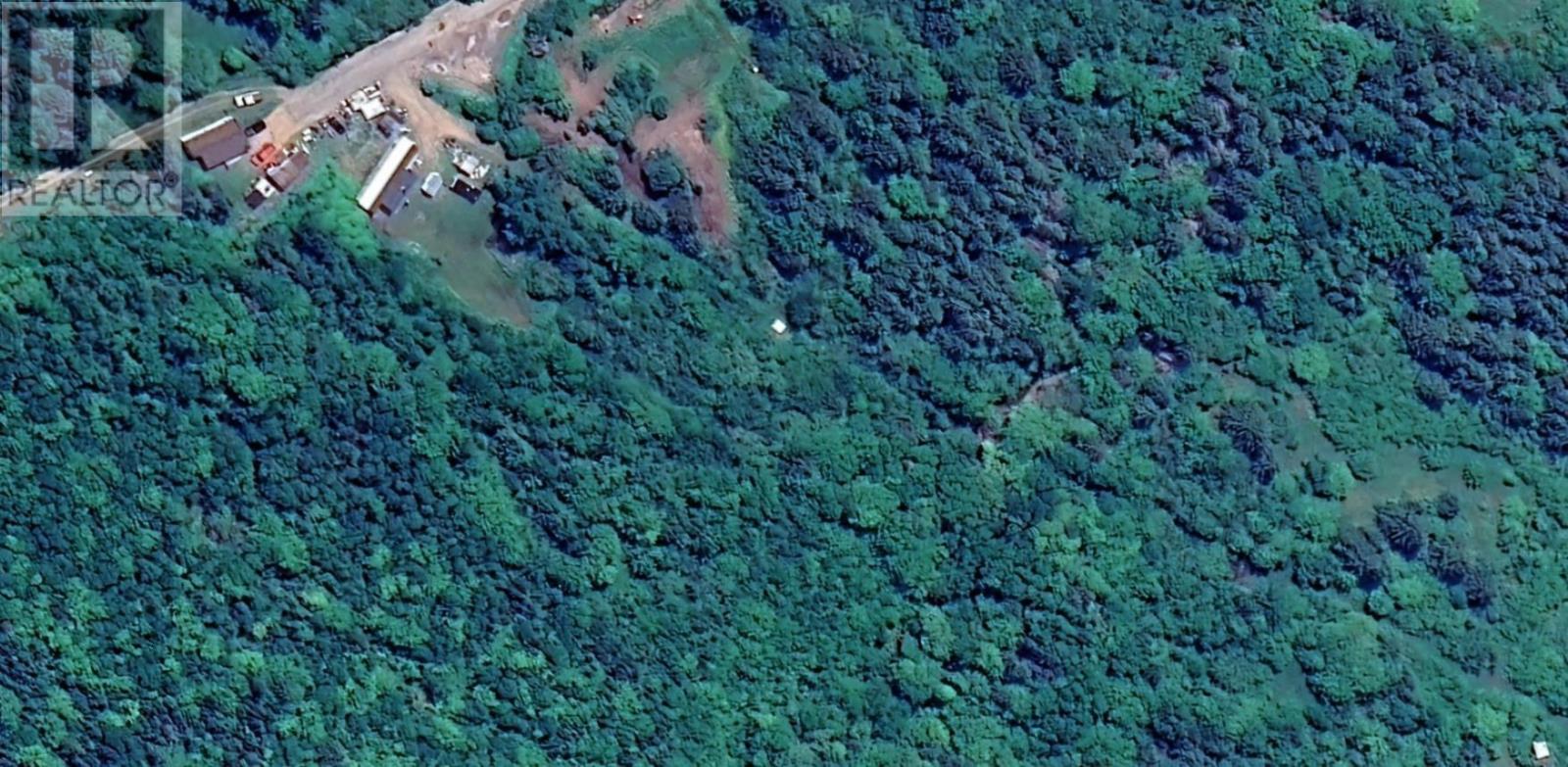 Arsenaults Hill Road, East Margaree, Nova Scotia  B0E 2Y0 - Photo 2 - 202501194