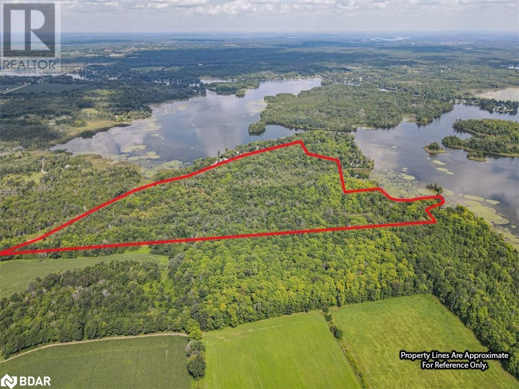 N/a Birch Point Road, Trent Hills, Ontario  K0L 1Y0 - Photo 3 - 40689831