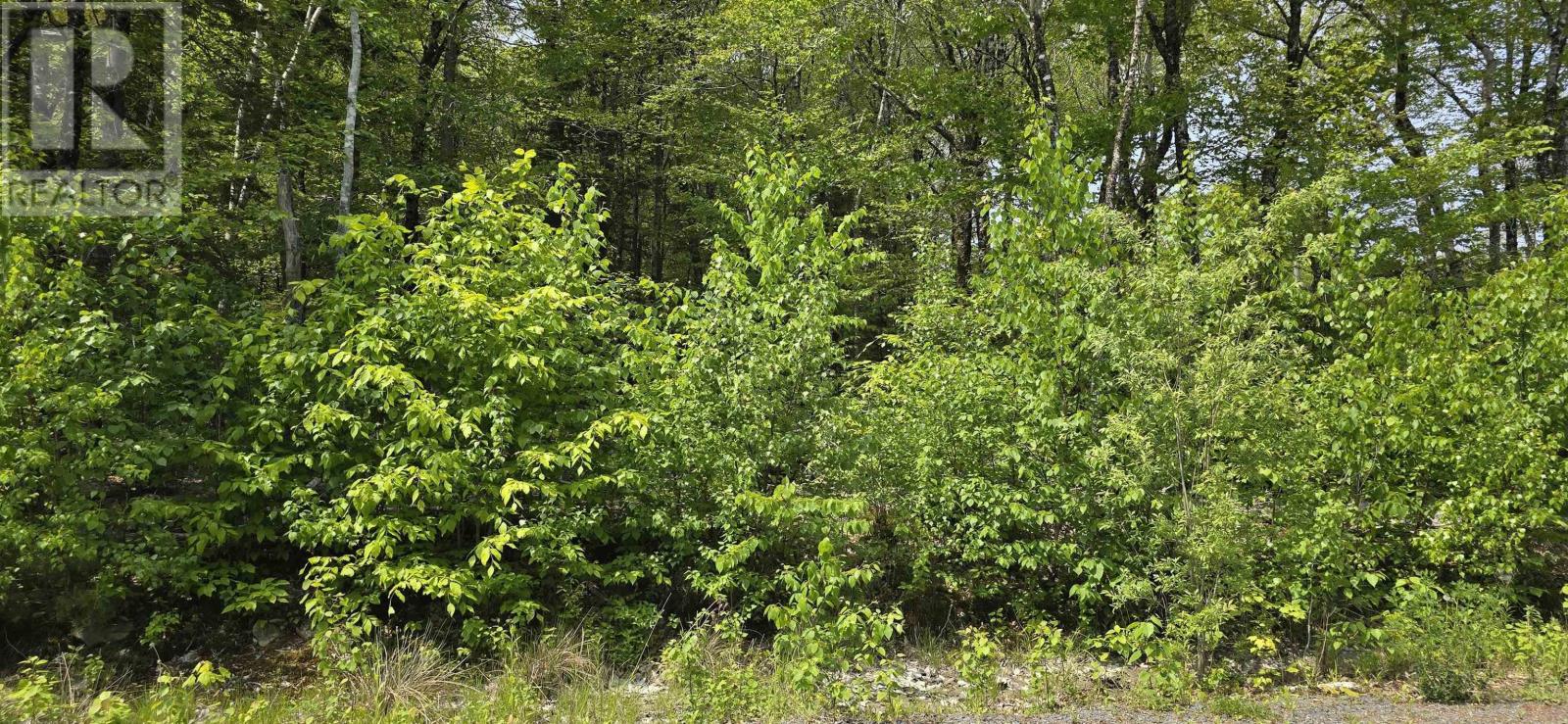 Lot 9 Nathan Croft Road, Camperdown Meadows, Camperdown, Nova Scotia  B4V 6T9 - Photo 10 - 202501211