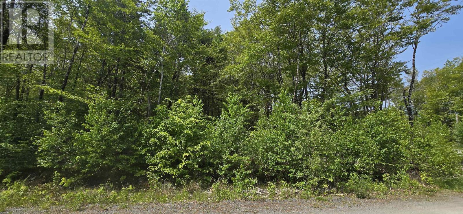 Lot 9 Nathan Croft Road, Camperdown Meadows, Camperdown, Nova Scotia  B4V 6T9 - Photo 11 - 202501211
