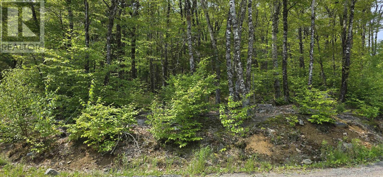 Lot 9 Nathan Croft Road, Camperdown Meadows, Camperdown, Nova Scotia  B4V 6T9 - Photo 12 - 202501211