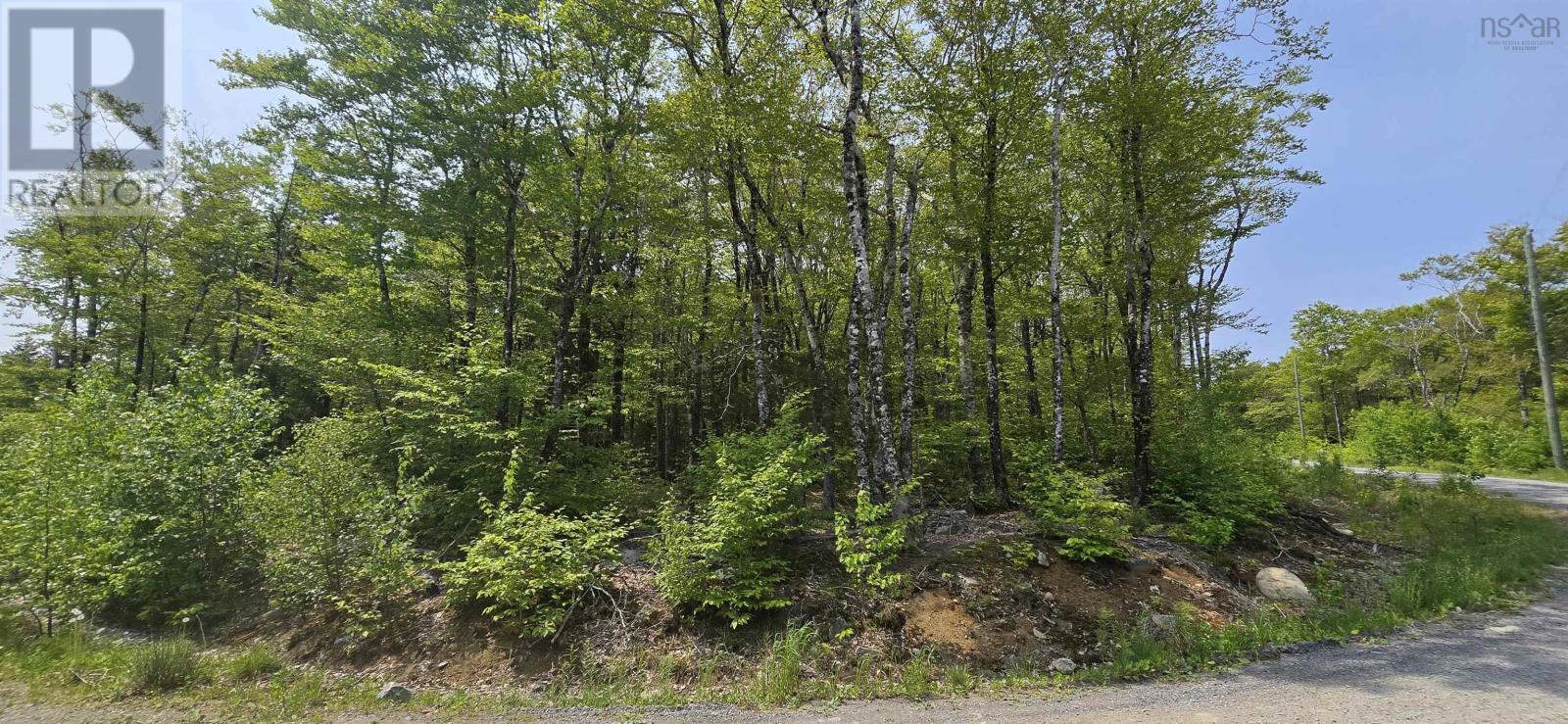 Lot 9 Nathan Croft Road, Camperdown Meadows, Camperdown, Nova Scotia  B4V 6T9 - Photo 13 - 202501211