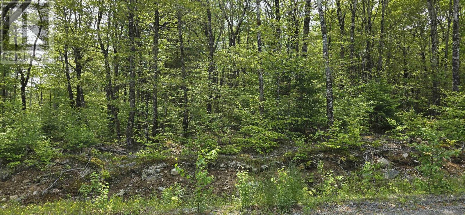 Lot 9 Nathan Croft Road, Camperdown Meadows, Camperdown, Nova Scotia  B4V 6T9 - Photo 14 - 202501211