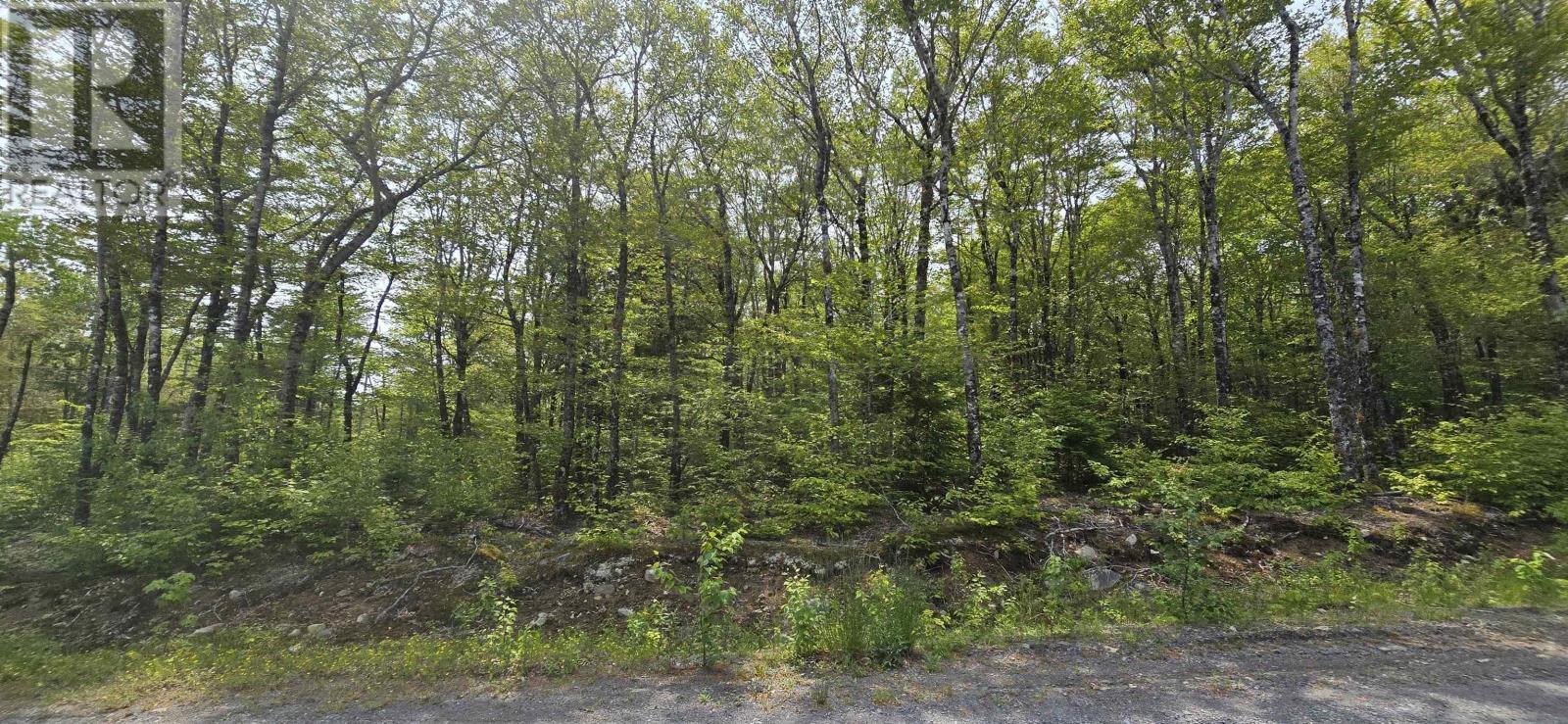 Lot 9 Nathan Croft Road, Camperdown Meadows, Camperdown, Nova Scotia  B4V 6T9 - Photo 15 - 202501211