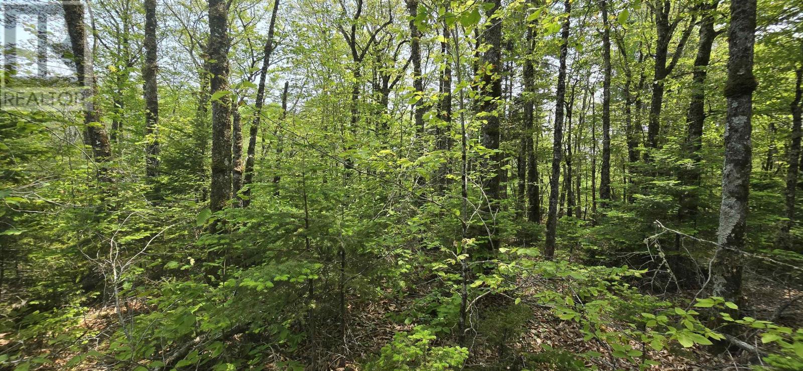 Lot 9 Nathan Croft Road, Camperdown Meadows, Camperdown, Nova Scotia  B4V 6T9 - Photo 17 - 202501211