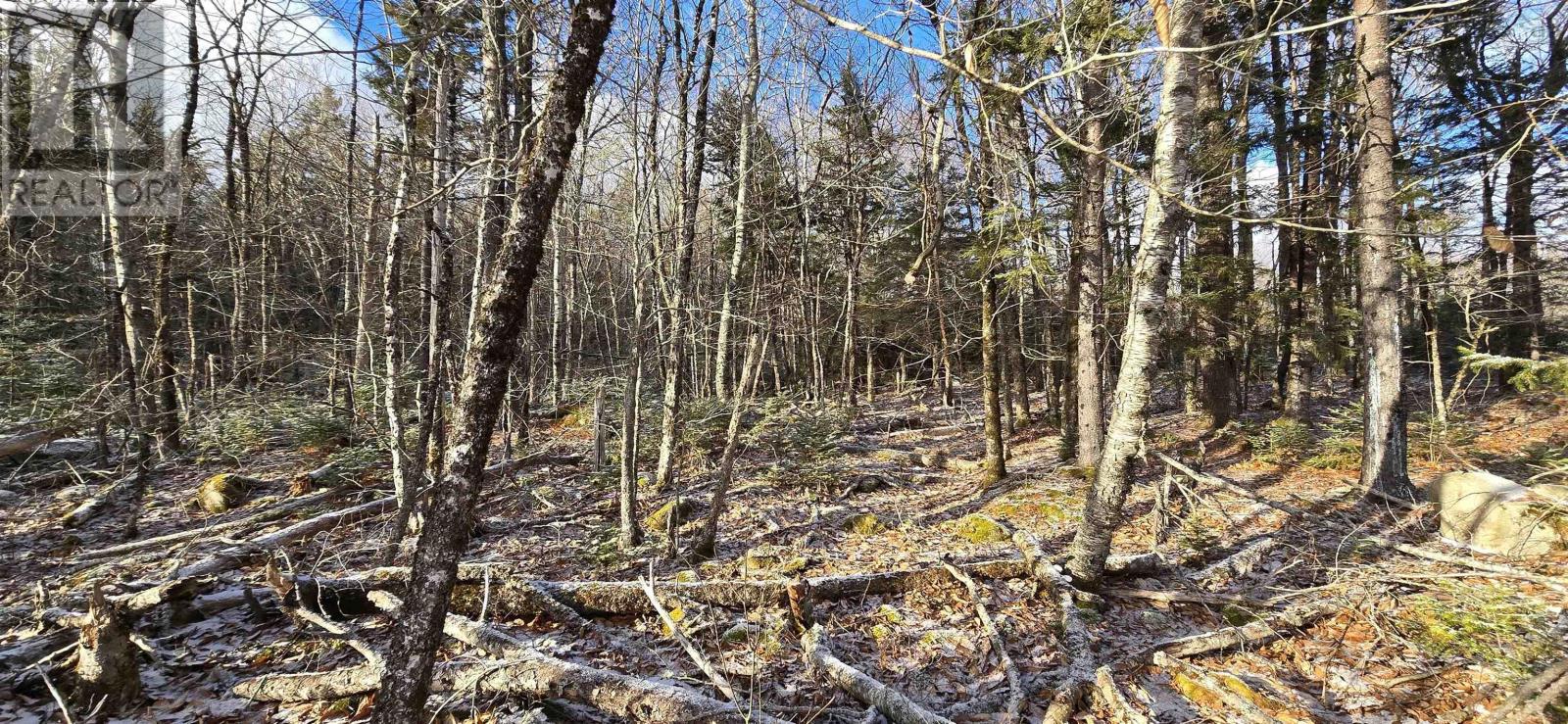 Lot 9 Nathan Croft Road, Camperdown Meadows, Camperdown, Nova Scotia  B4V 6T9 - Photo 23 - 202501211