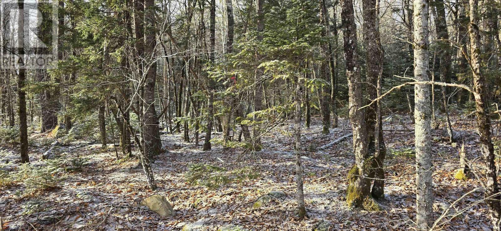 Lot 9 Nathan Croft Road, Camperdown Meadows, Camperdown, Nova Scotia  B4V 6T9 - Photo 24 - 202501211