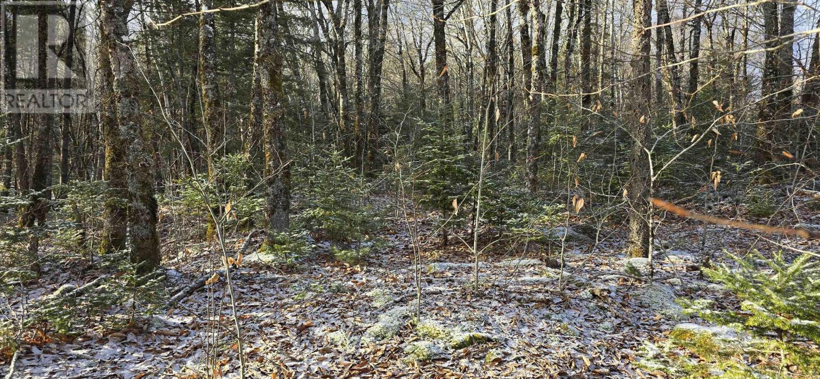 Lot 9 Nathan Croft Road, Camperdown Meadows, Camperdown, Nova Scotia  B4V 6T9 - Photo 25 - 202501211