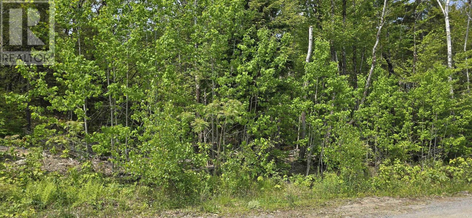 Lot 9 Nathan Croft Road, Camperdown Meadows, Camperdown, Nova Scotia  B4V 6T9 - Photo 6 - 202501211