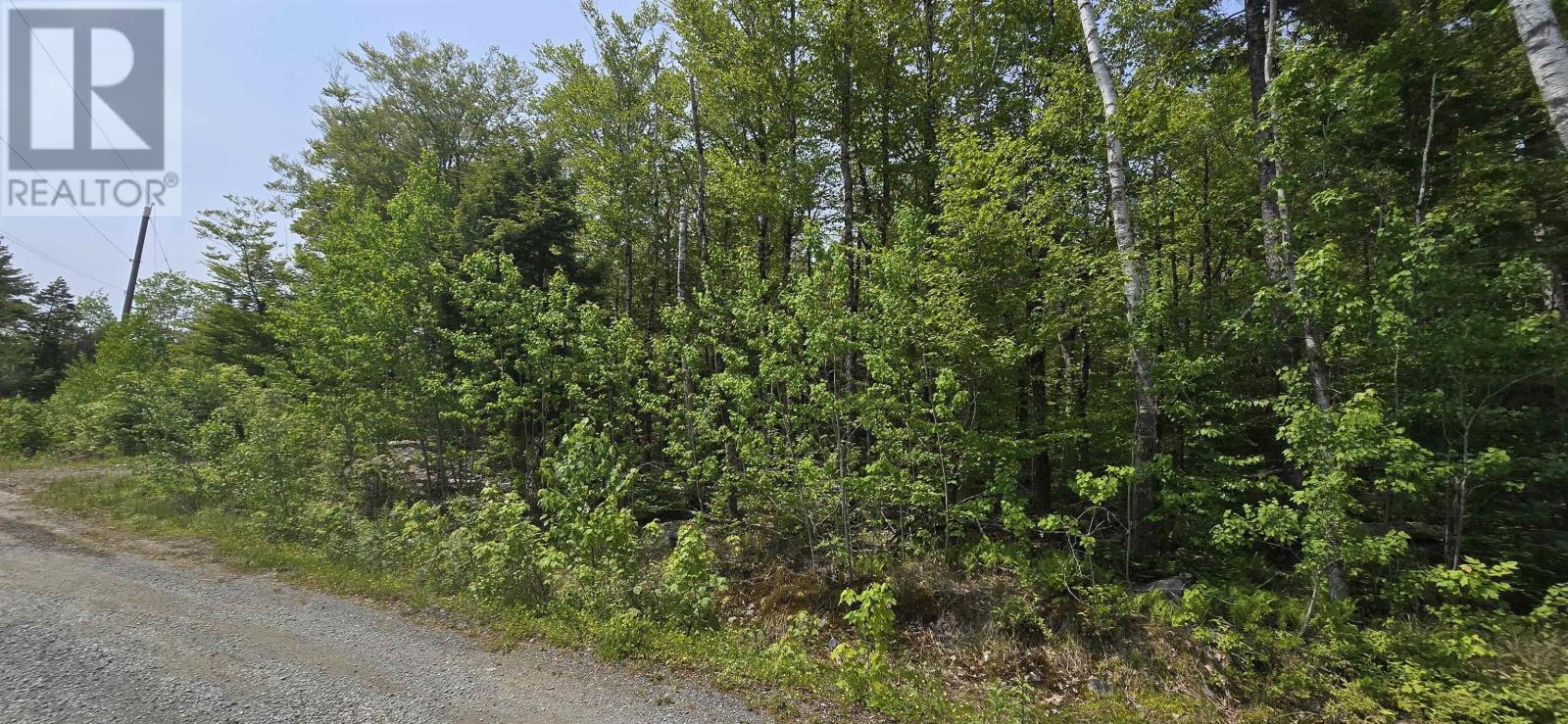 Lot 9 Nathan Croft Road, Camperdown Meadows, Camperdown, Nova Scotia  B4V 6T9 - Photo 7 - 202501211