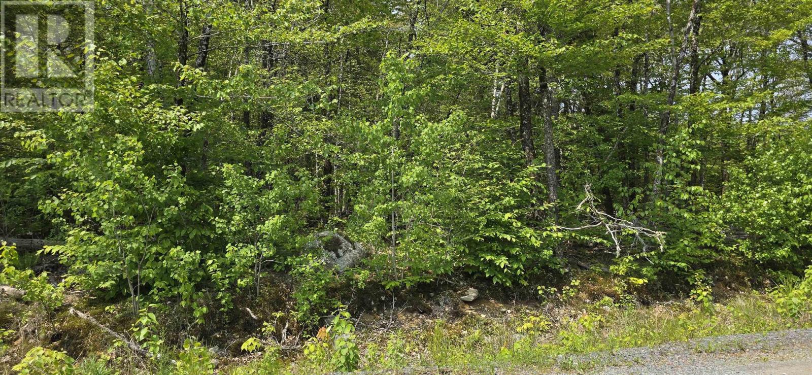 Lot 9 Nathan Croft Road, Camperdown Meadows, Camperdown, Nova Scotia  B4V 6T9 - Photo 9 - 202501211