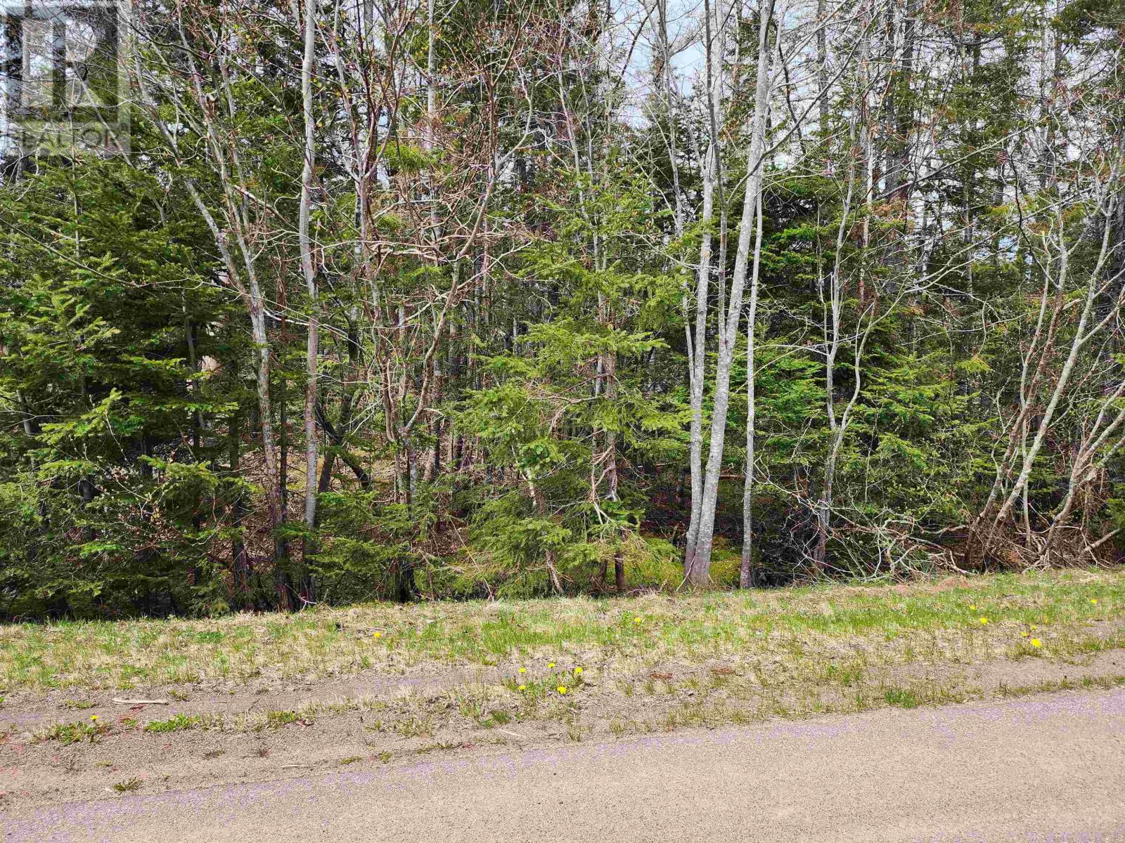 Lots Wood Islands, Wood Islands, Prince Edward Island  C0A 1R0 - Photo 3 - 202501228