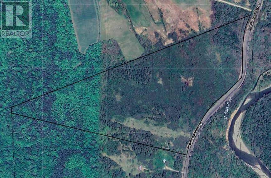 West Side Middle River, West Middle River, Nova Scotia  B0E 1B0 - Photo 12 - 202501215