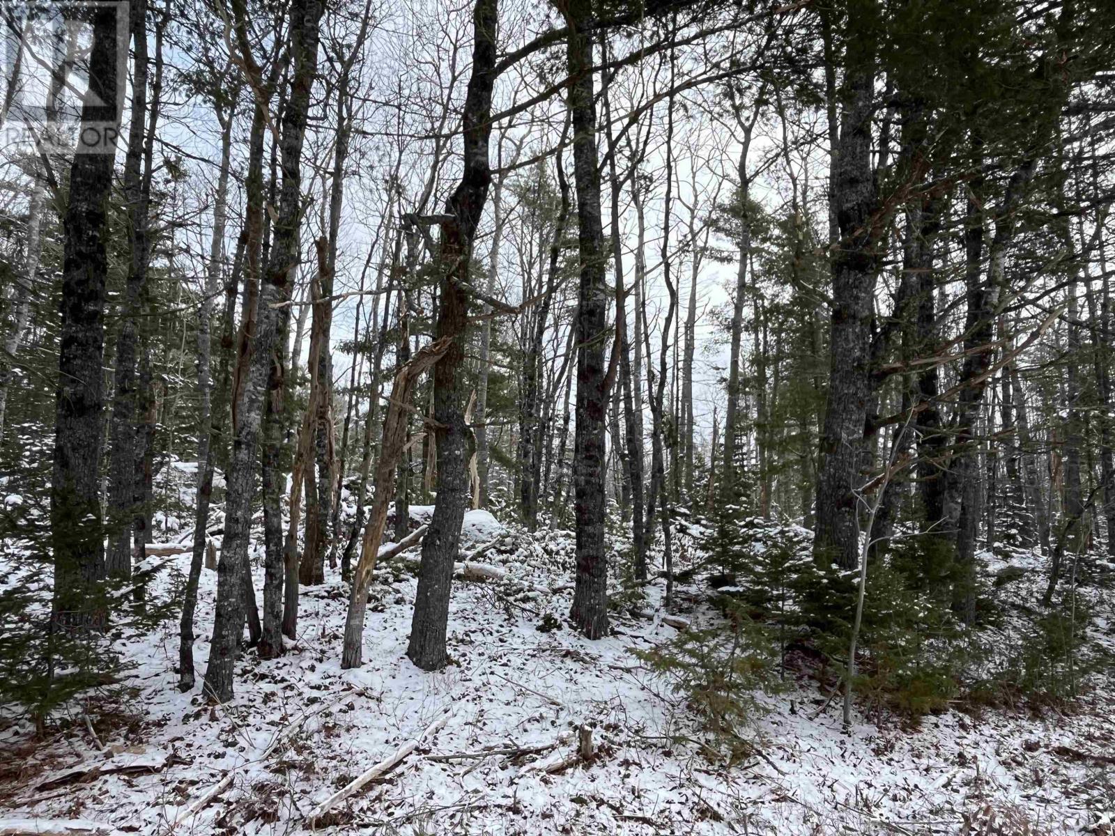 Lot Lower Ohio, Ohio, Nova Scotia  B0T 1W0 - Photo 3 - 202501234