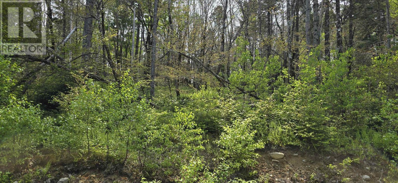 Lot 4 Nathan Croft Road, Camperdown Meadows, Camperdown, Nova Scotia  B4V 6T9 - Photo 10 - 202501239