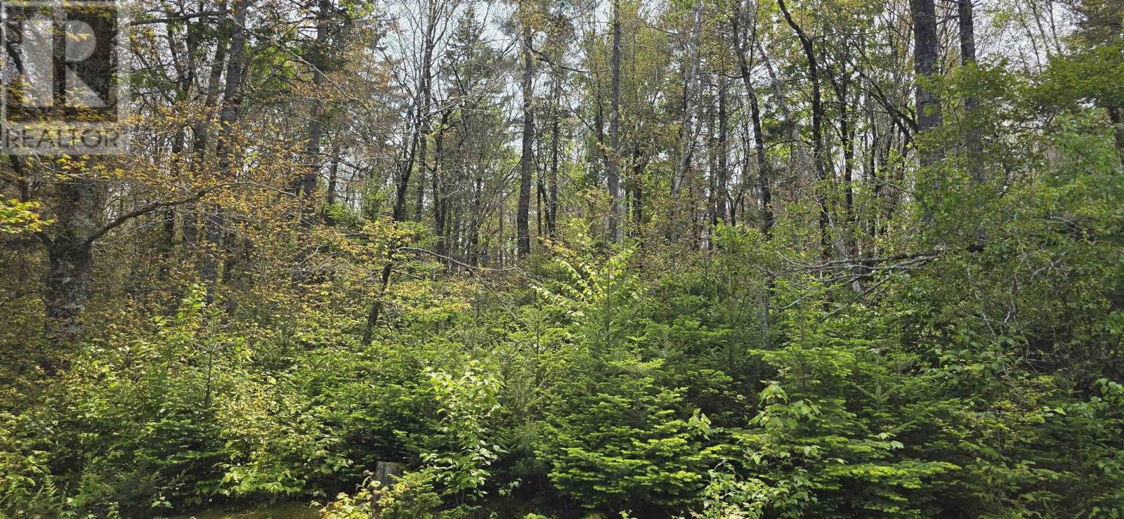 Lot 4 Nathan Croft Road, Camperdown Meadows, Camperdown, Nova Scotia  B4V 6T9 - Photo 11 - 202501239