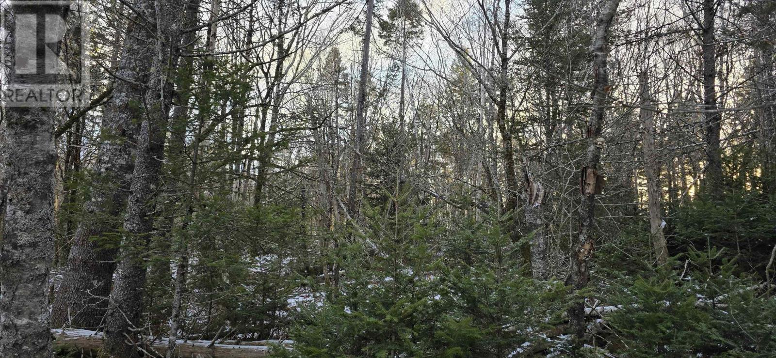 Lot 4 Nathan Croft Road, Camperdown Meadows, Camperdown, Nova Scotia  B4V 6T9 - Photo 16 - 202501239