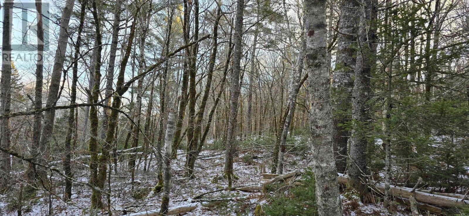 Lot 4 Nathan Croft Road, Camperdown Meadows, Camperdown, Nova Scotia  B4V 6T9 - Photo 17 - 202501239