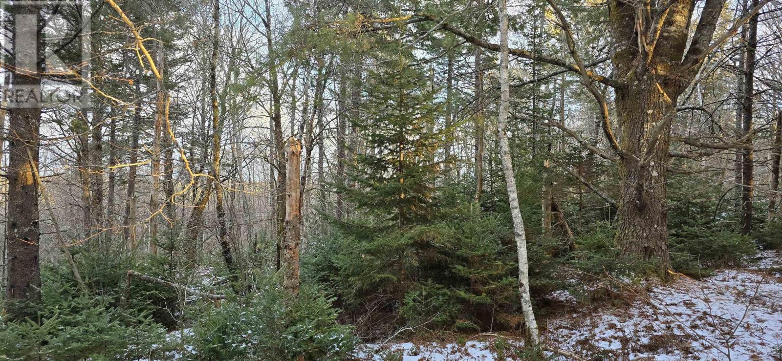 Lot 4 Nathan Croft Road, Camperdown Meadows, Camperdown, Nova Scotia  B4V 6T9 - Photo 19 - 202501239