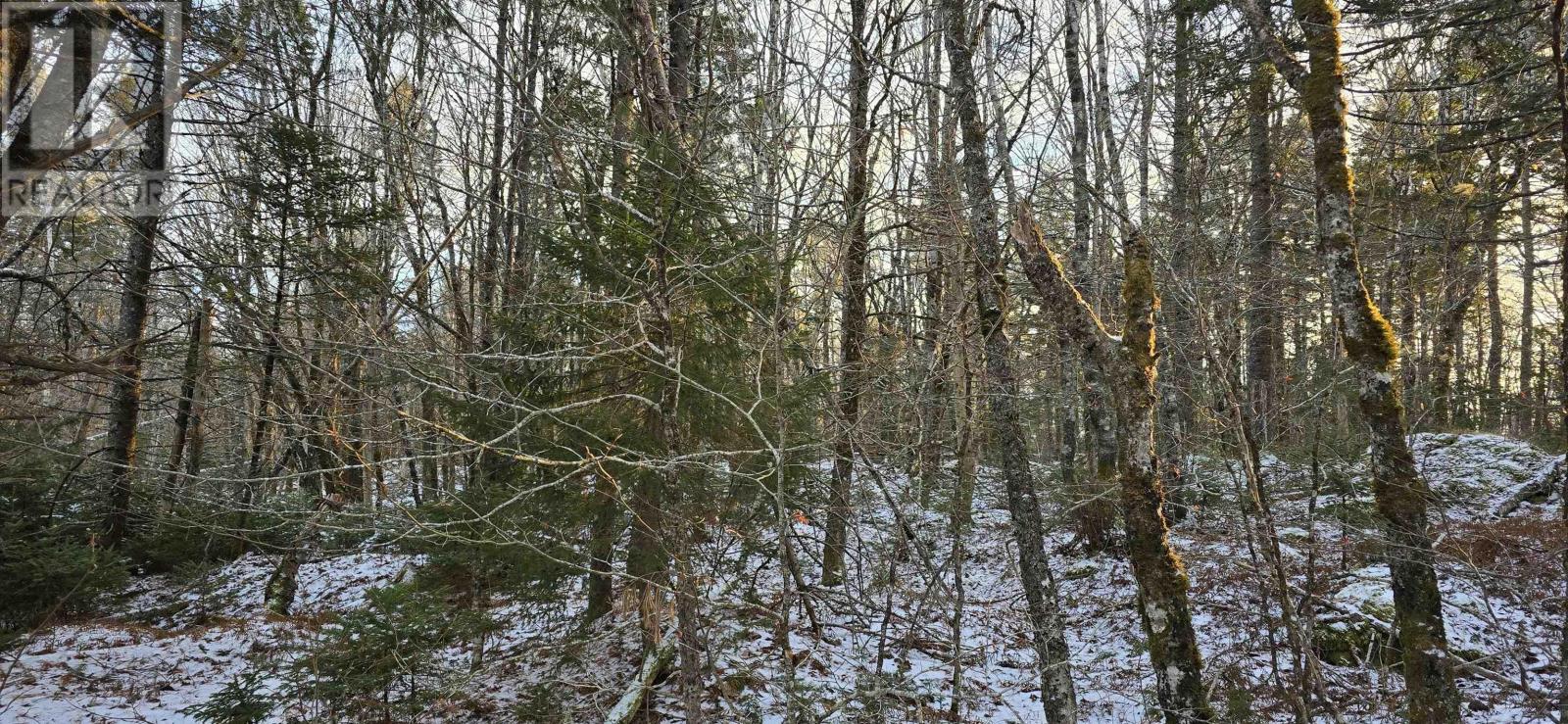 Lot 4 Nathan Croft Road, Camperdown Meadows, Camperdown, Nova Scotia  B4V 6T9 - Photo 20 - 202501239