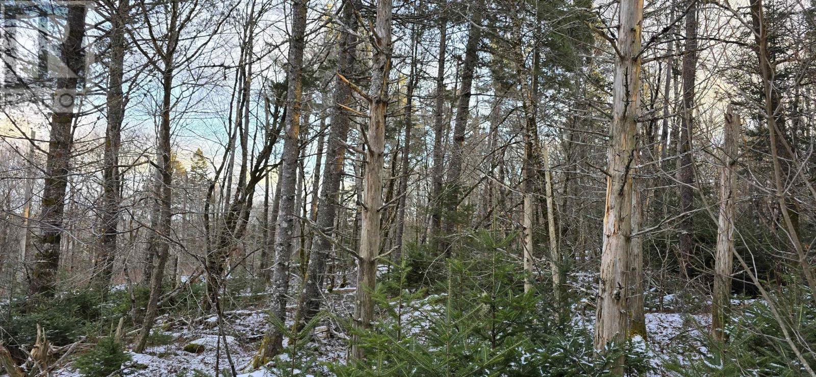 Lot 4 Nathan Croft Road, Camperdown Meadows, Camperdown, Nova Scotia  B4V 6T9 - Photo 21 - 202501239