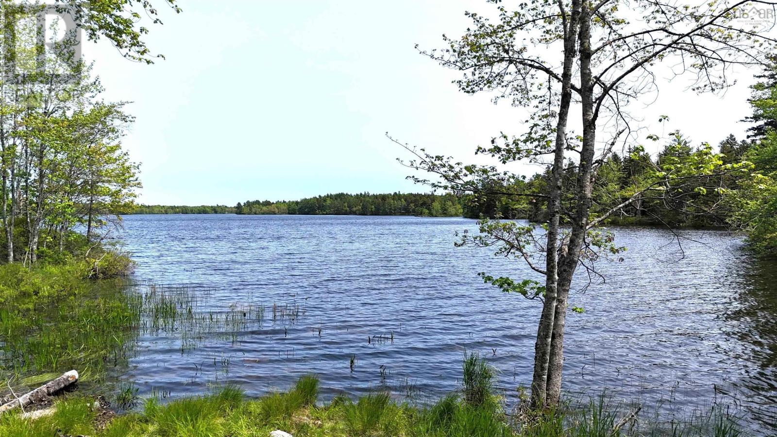 Lot 4 Nathan Croft Road, Camperdown Meadows, Camperdown, Nova Scotia  B4V 6T9 - Photo 5 - 202501239